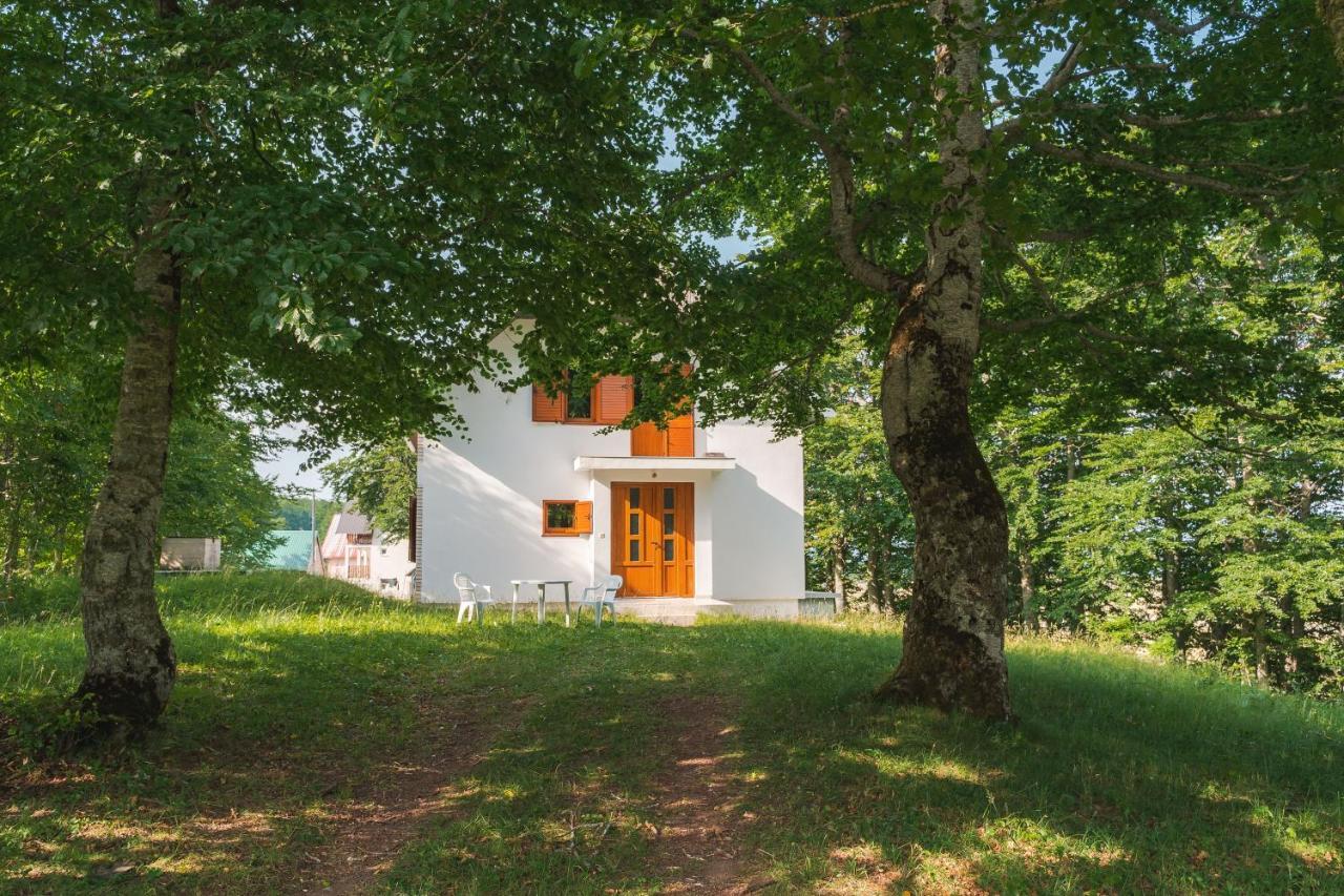 Vila Highlander'S House Žabljak Exteriér fotografie